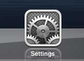 tap the settings icon on the iPad