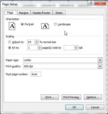 the excel 2010 page setup menu