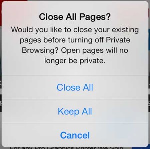 how to end a private browsing session in ios 7