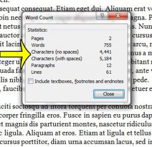 character counter in word 2010
