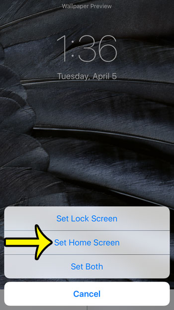 set home screen, lock screen, or both