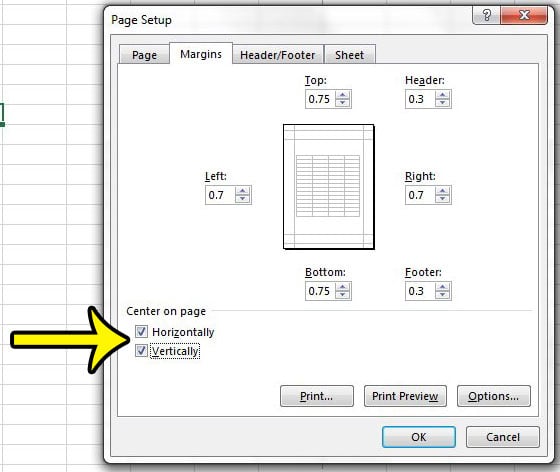 how to center horizontally and vertically in excel 2013