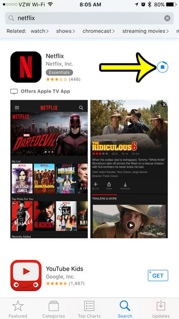 install netflix on an iphone