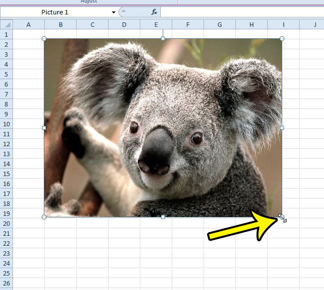 how to make a picture bigger or smaller in excel spreadsheet