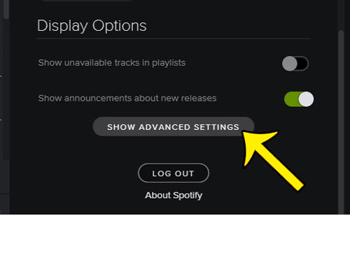 how to stop spotify at startup