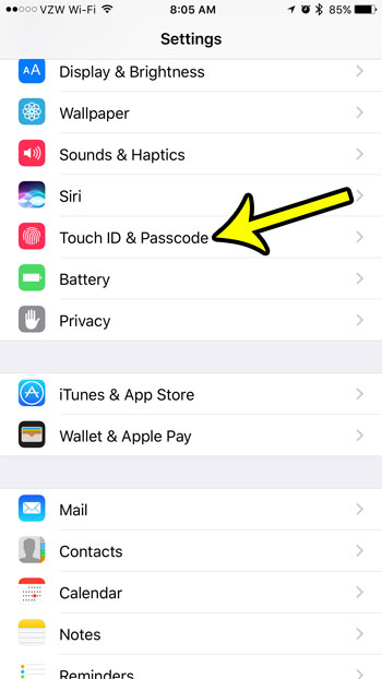 open the iphoen touch id and passcode menu