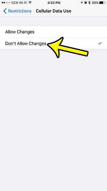 disable changes to iphone cellular data settings