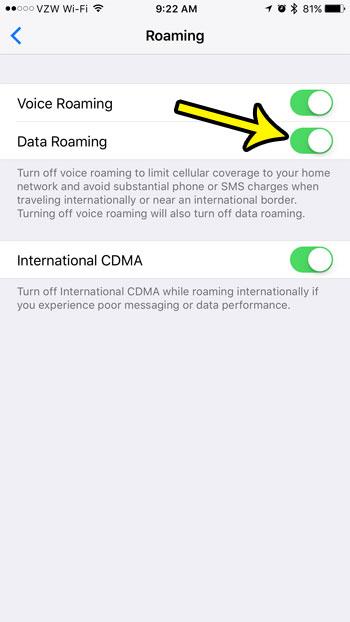 how to turn on data roaming on an iphone 7