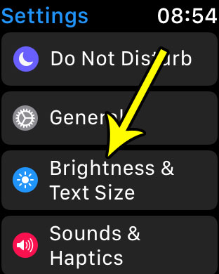 open the brightness and text size menu