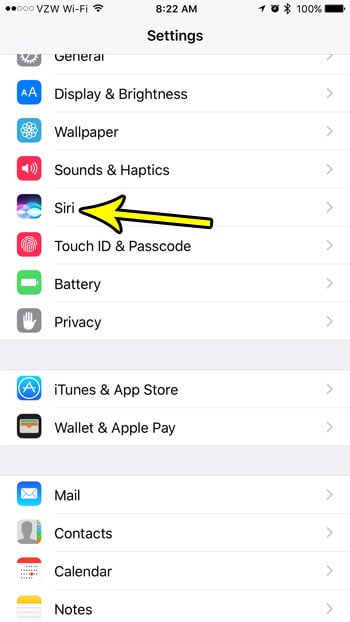 open the iphone siri menu