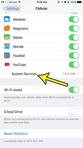 view iphone system services data usage