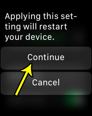 turn on bold text for apple watch