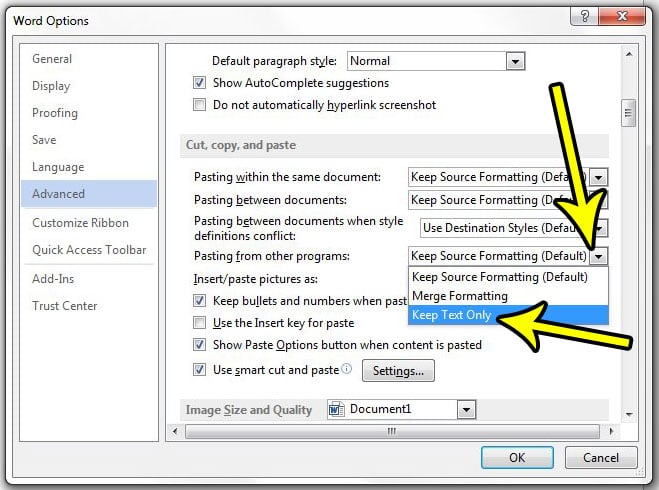 how to remove formatting when pasting in word 2013