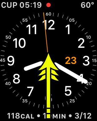 swipe up from the bottom of the watch face