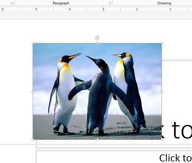 How to Make a Square Picture a Circle in Powerpoint 2013 1 select the picture to crop