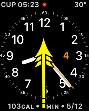how to enable airplane mode on apple watch