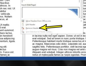 how to delete all of the information from the header in word 2013