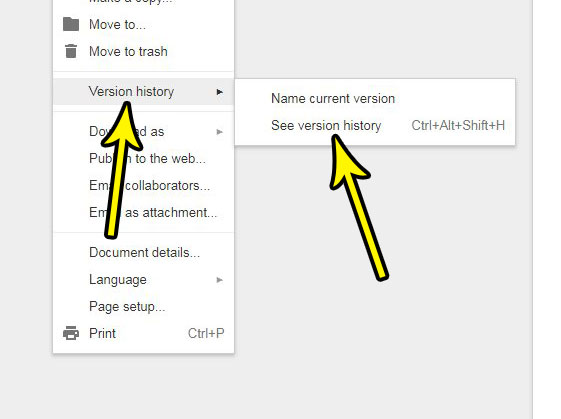 how to view version history in google docs