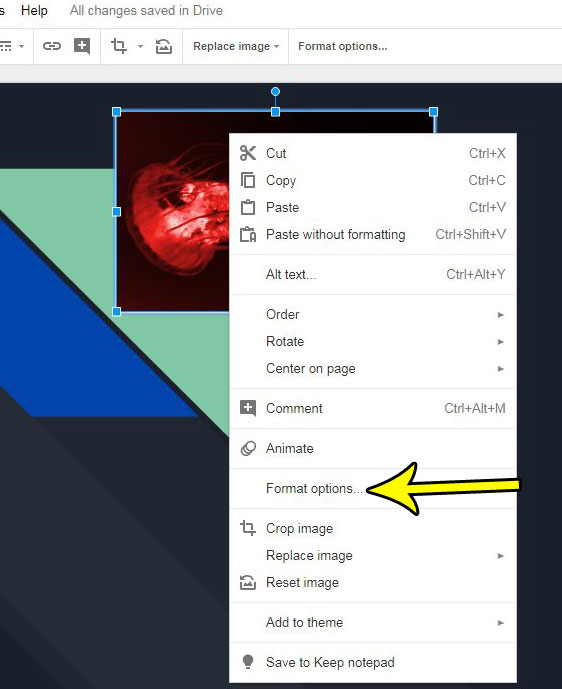 format picture options in google slides
