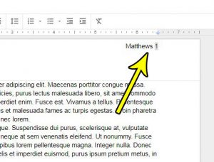 how to add last name and page number top right google docs