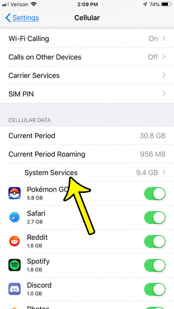 iphone cellular data usage by system services