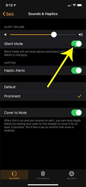 how to mute the Apple Watch from your iPhone