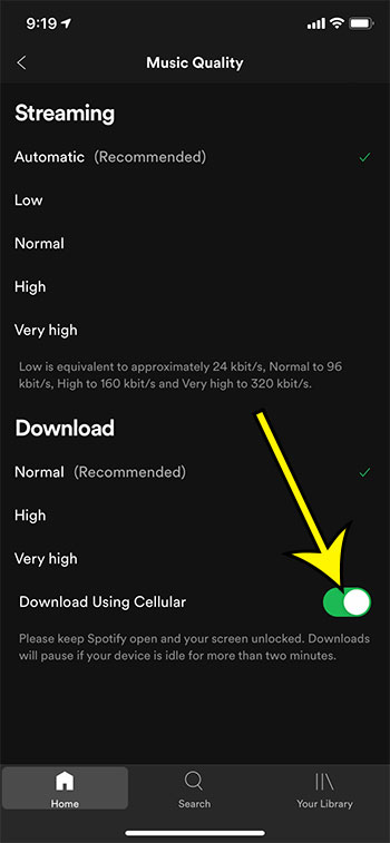 how to download over cellular in the Spotify iPhone app