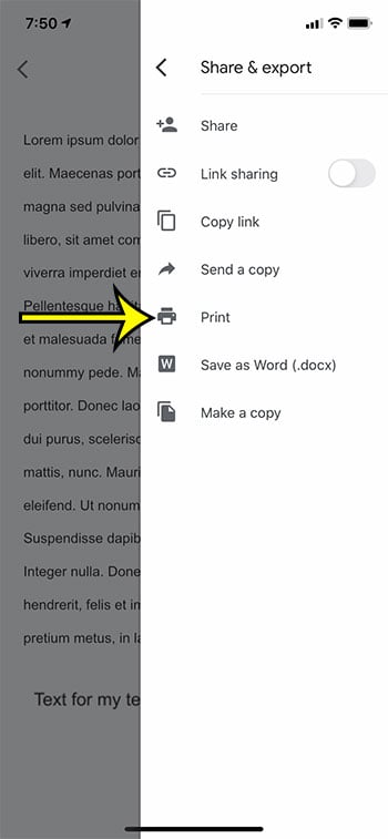 how to print in Google Docs mobile