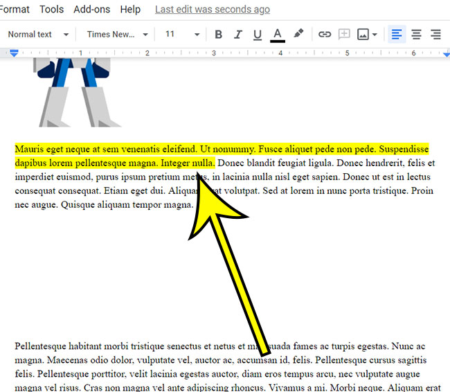 example of highlighted text in Google Docs
