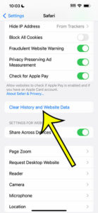 how to clear iPhone 14 Safari history
