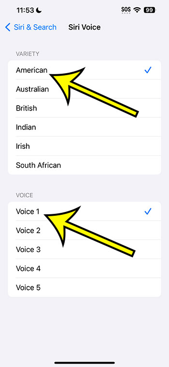 how to change the iPhone 14 Siri voice